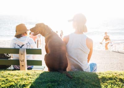 Pet-Friendly Benefits: 4 Employee Perks for Pet Lovers