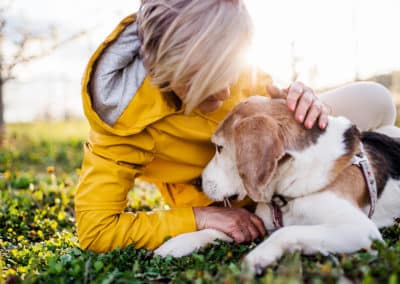 Caring for Our Companions: Pet Wellness Month Spotlight